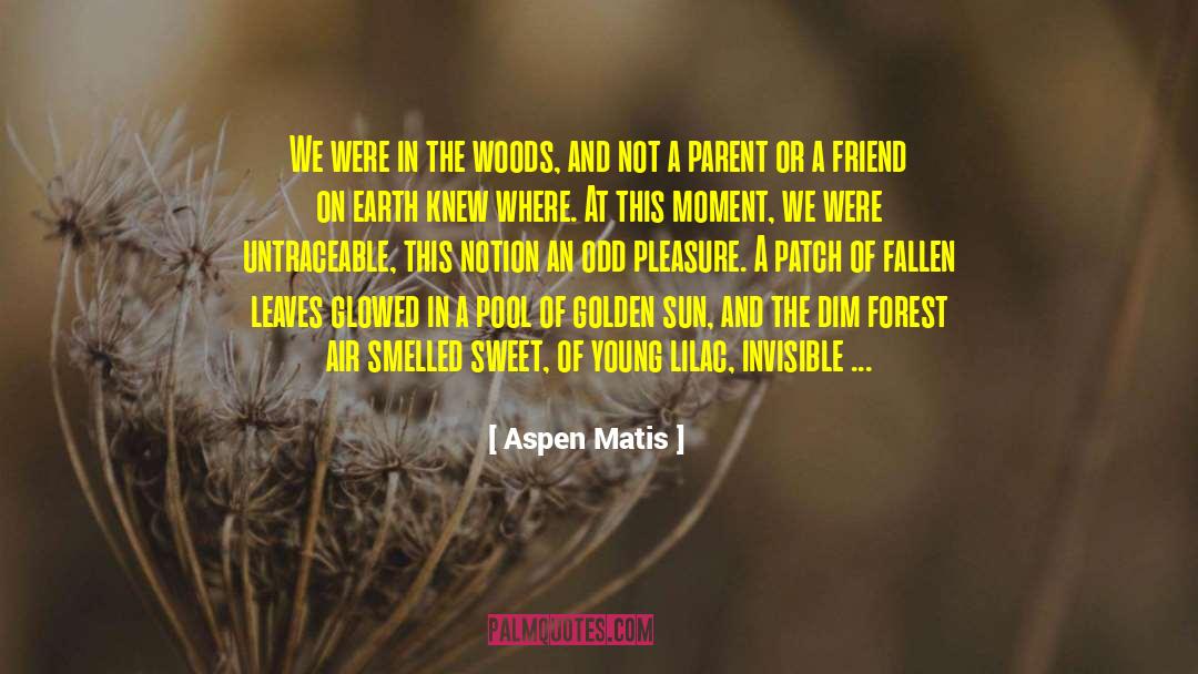 Untraceable quotes by Aspen Matis