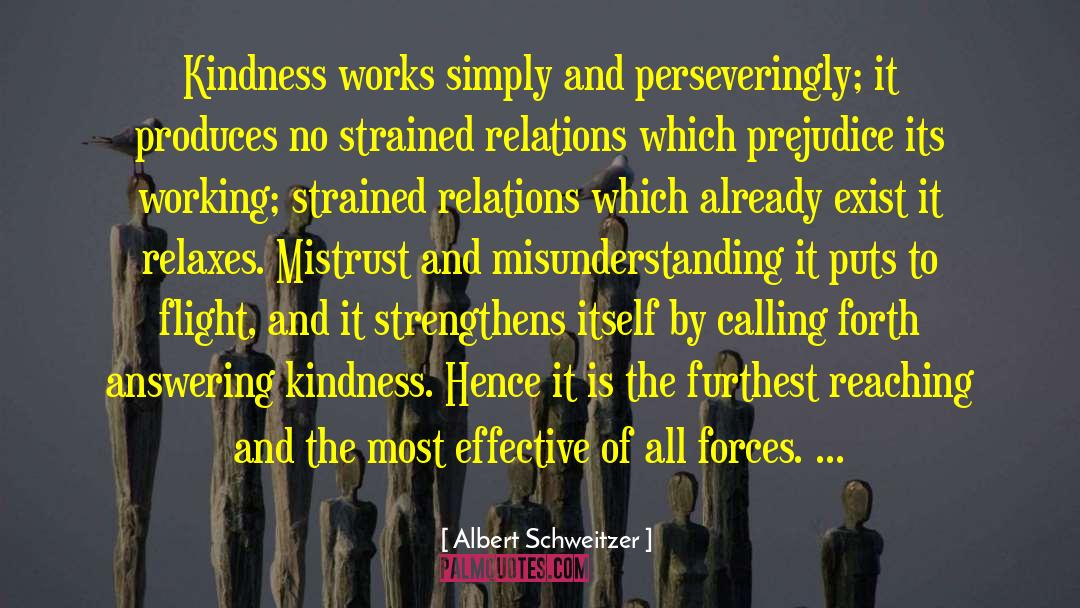 Untrue Kindness quotes by Albert Schweitzer