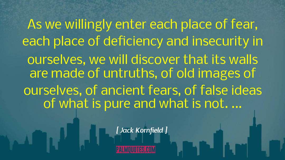 Untruths quotes by Jack Kornfield