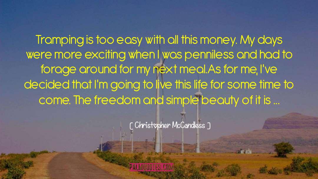 Unusual Beauty quotes by Christopher McCandless