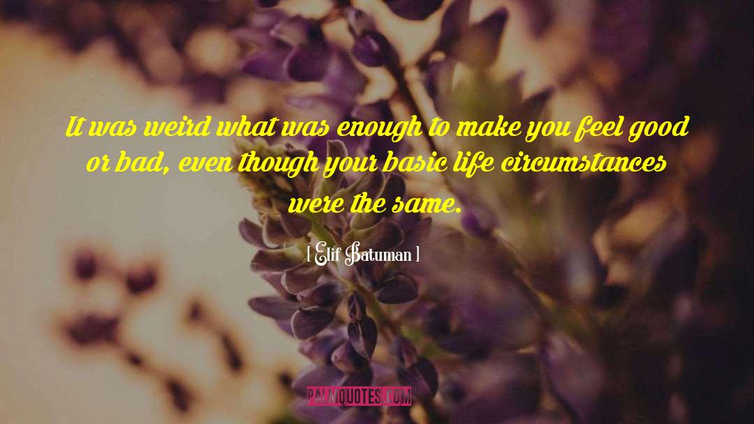 Unusual Circumstances quotes by Elif Batuman