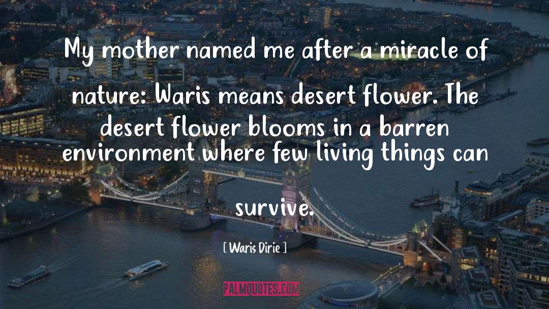 Unusual Mother quotes by Waris Dirie