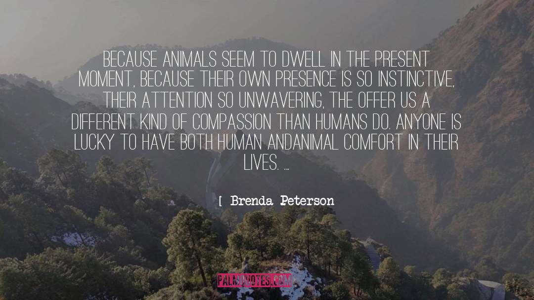 Unwavering quotes by Brenda Peterson