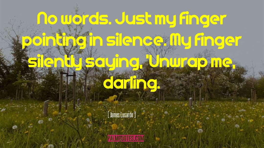 Unwrap Me quotes by James Lusarde