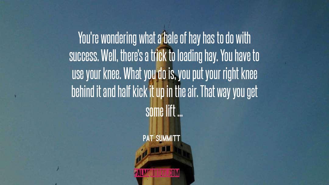 Up In The Air quotes by Pat Summitt