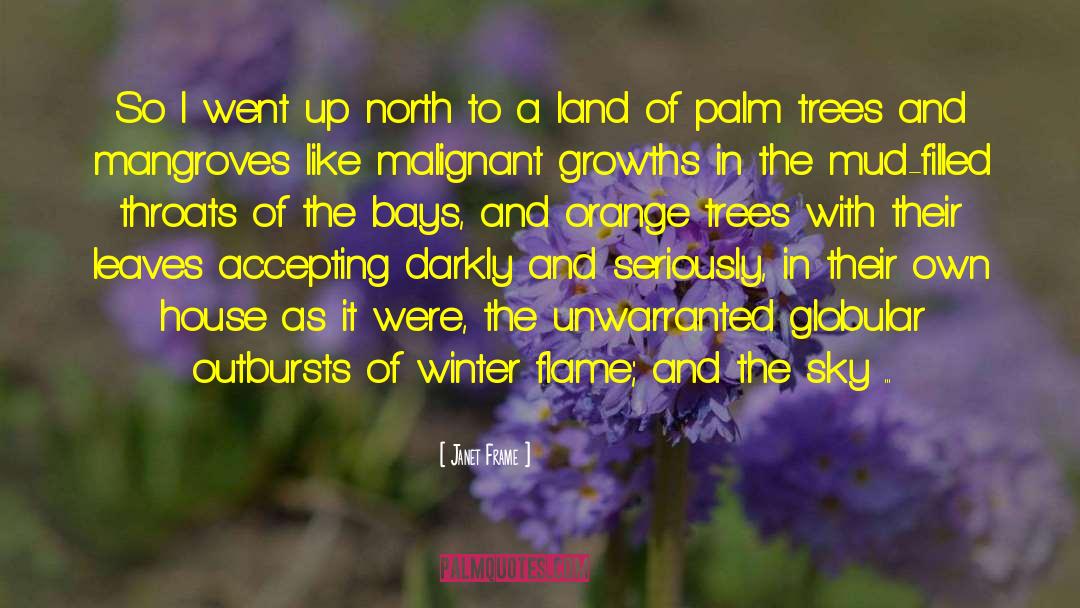 Up North quotes by Janet Frame