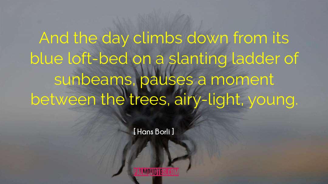 Uphill Climbs quotes by Hans Borli