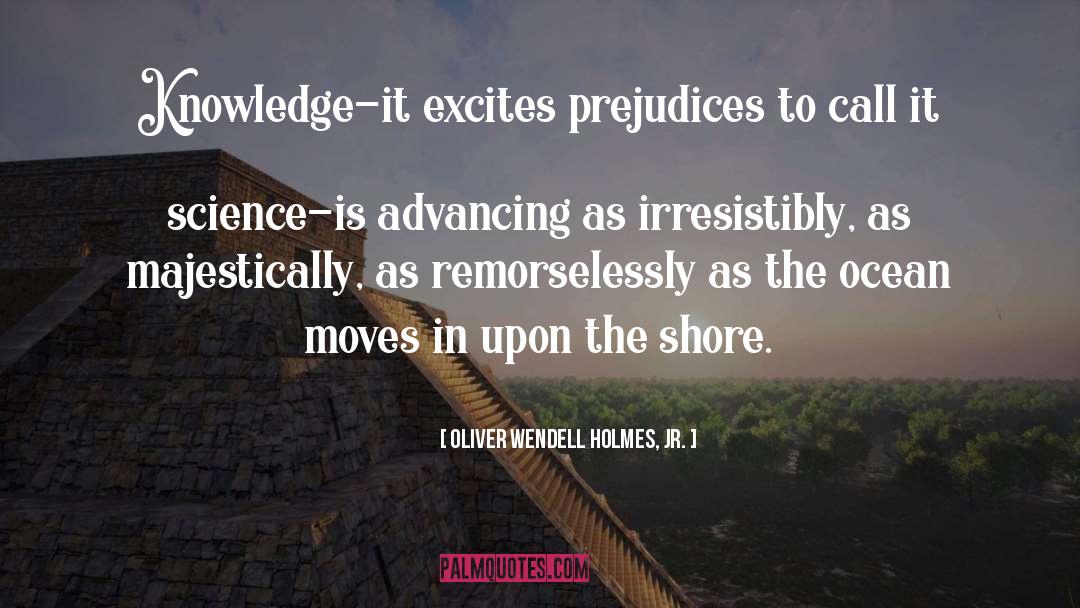 Upon The Shore quotes by Oliver Wendell Holmes, Jr.