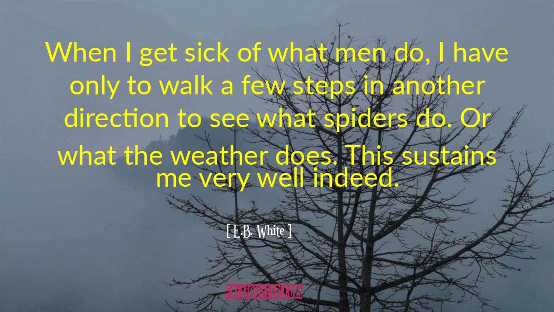 Upright Man quotes by E.B. White