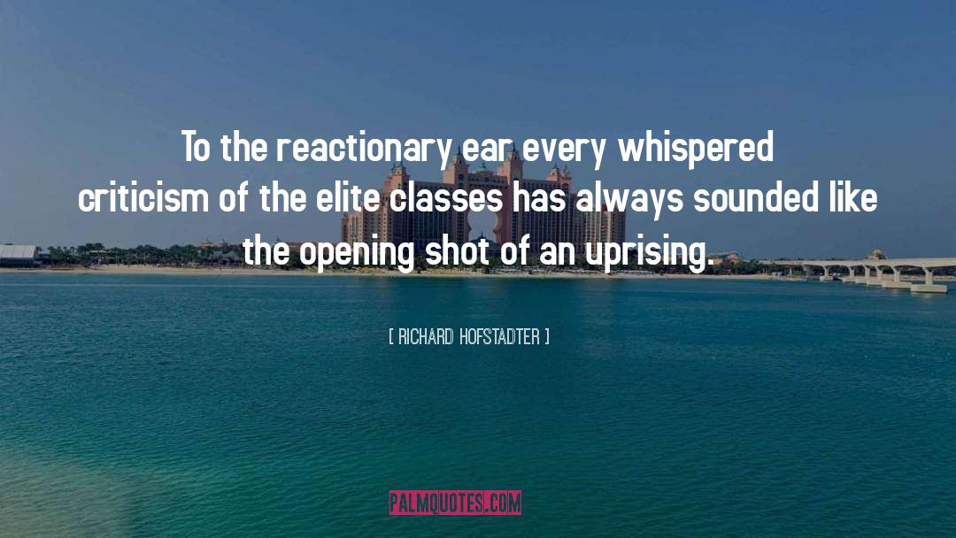 Uprising quotes by Richard Hofstadter