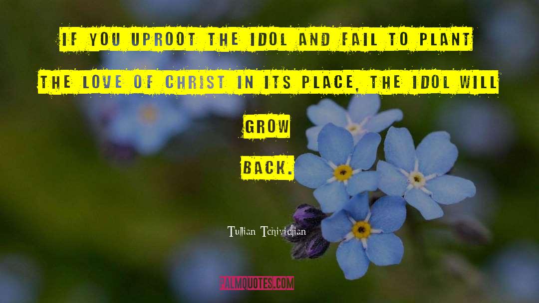 Uproot quotes by Tullian Tchividjian