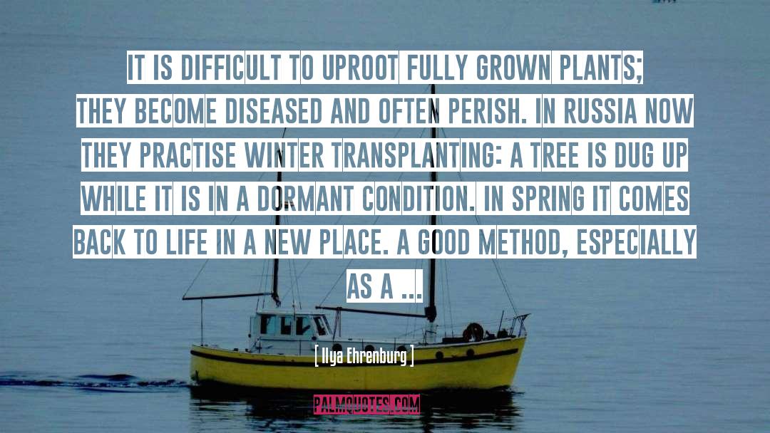 Uproot quotes by Ilya Ehrenburg