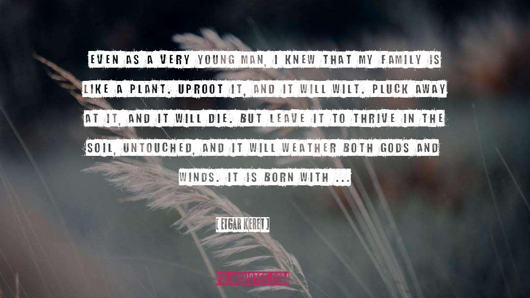 Uproot quotes by Etgar Keret