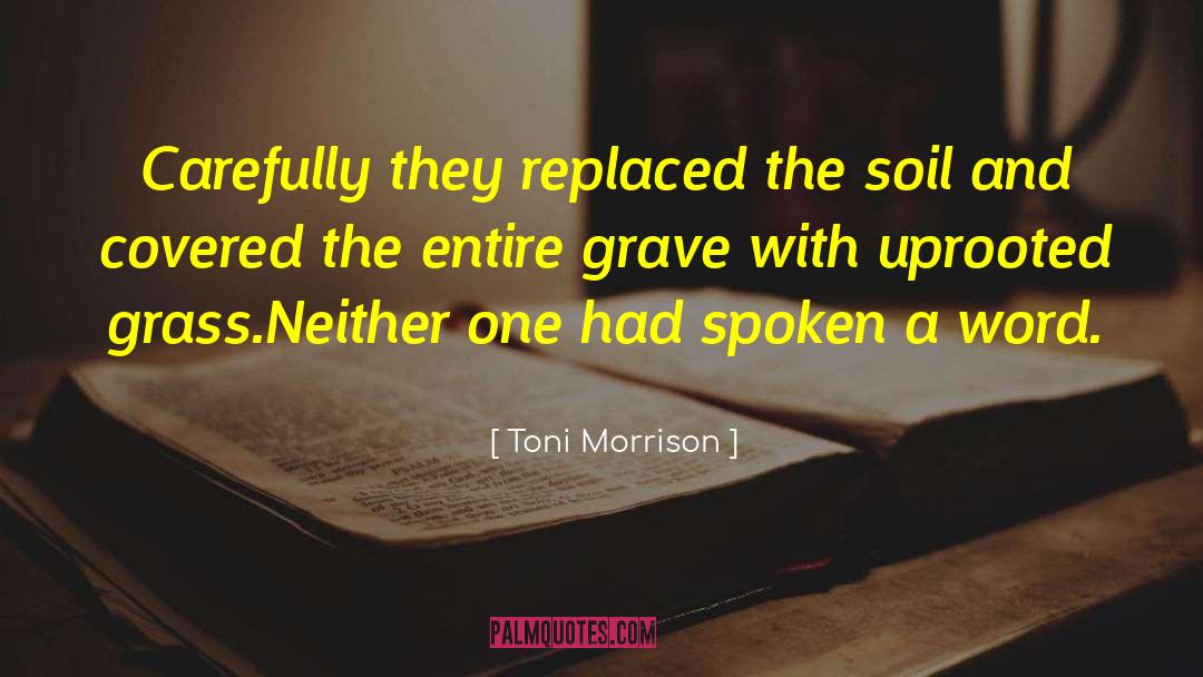 Uprooted quotes by Toni Morrison