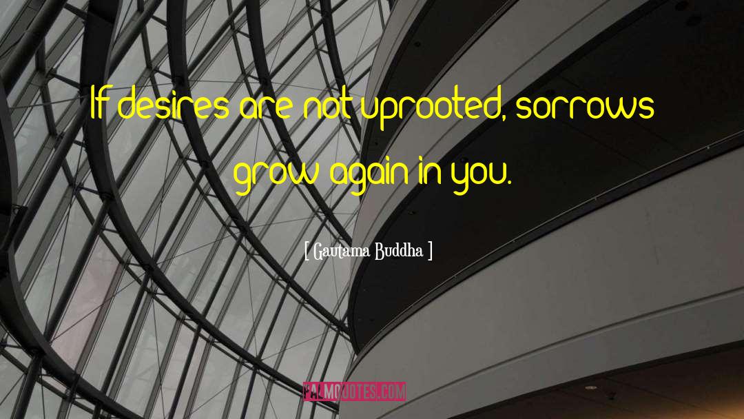 Uprooted quotes by Gautama Buddha