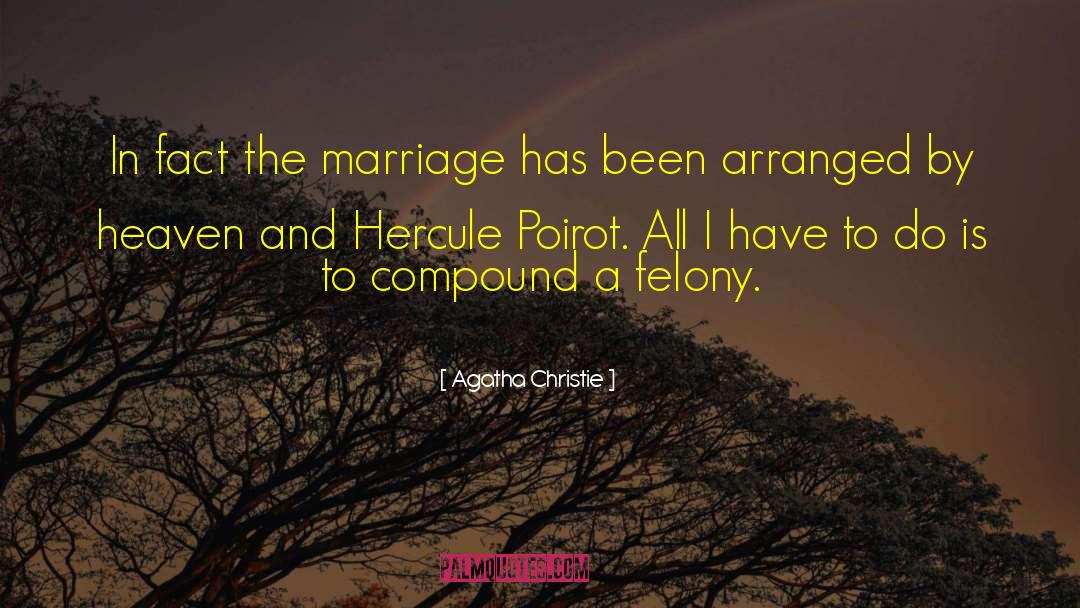 Upscale Marriage quotes by Agatha Christie