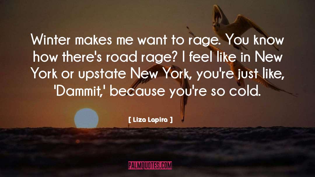 Upstate quotes by Liza Lapira