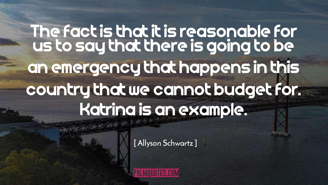Uragano Katrina quotes by Allyson Schwartz