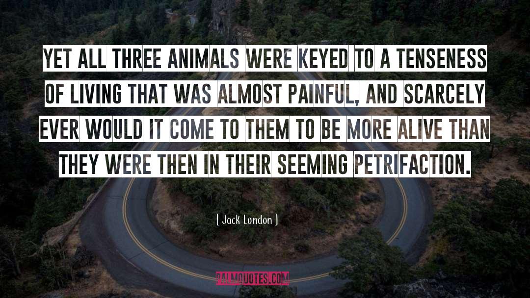 Urban Survival quotes by Jack London