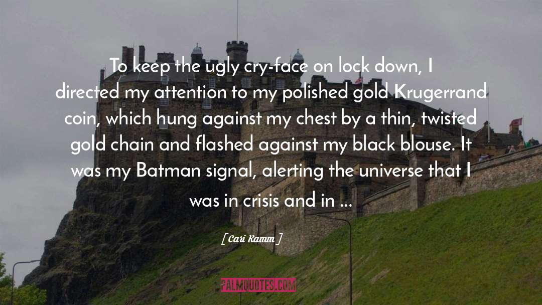 Urbanised City quotes by Cari Kamm