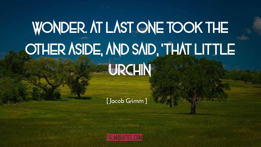 Urchin quotes by Jacob Grimm