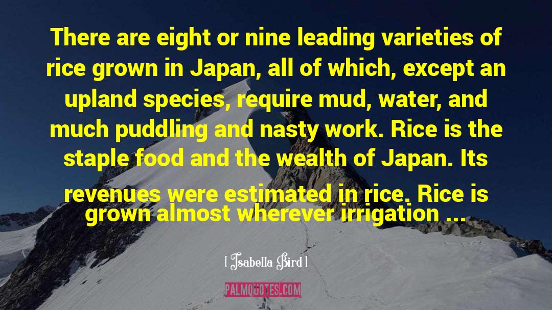 Ureshino Japan quotes by Isabella Bird