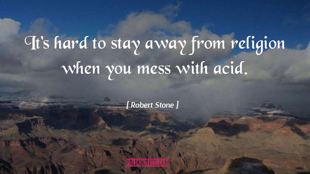 Uric Acid Stone quotes by Robert Stone