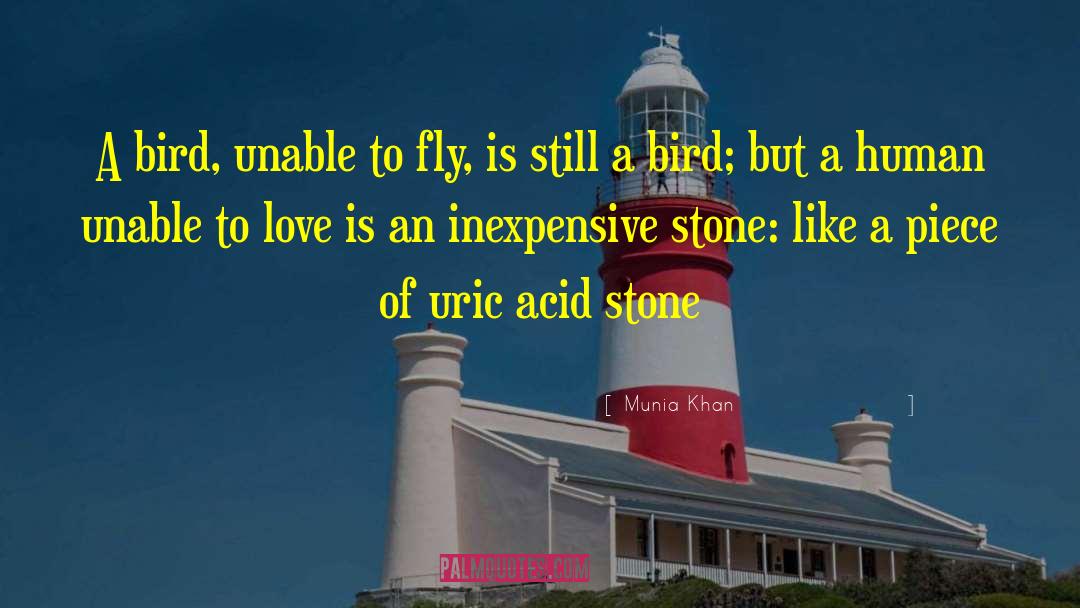 Uric Acid Stone quotes by Munia Khan