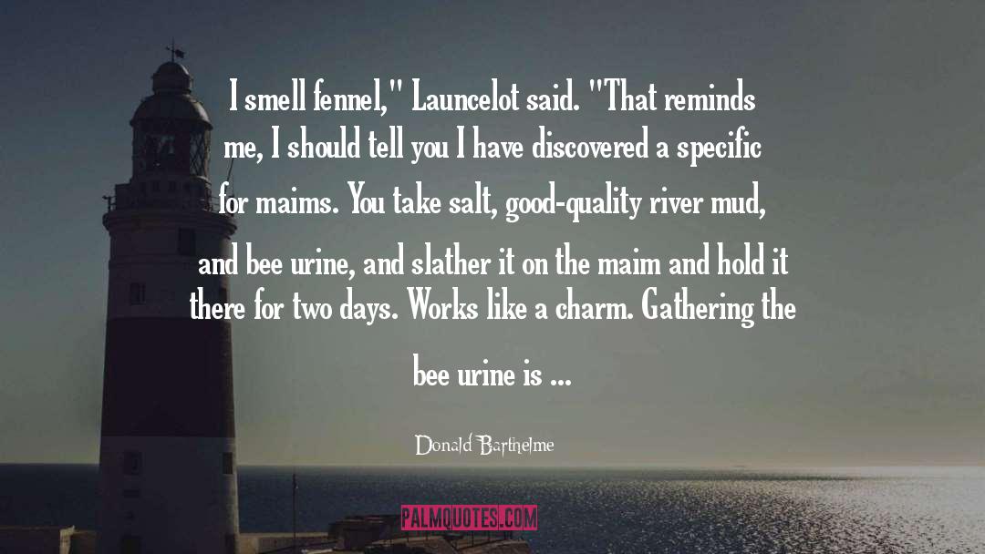 Urine quotes by Donald Barthelme