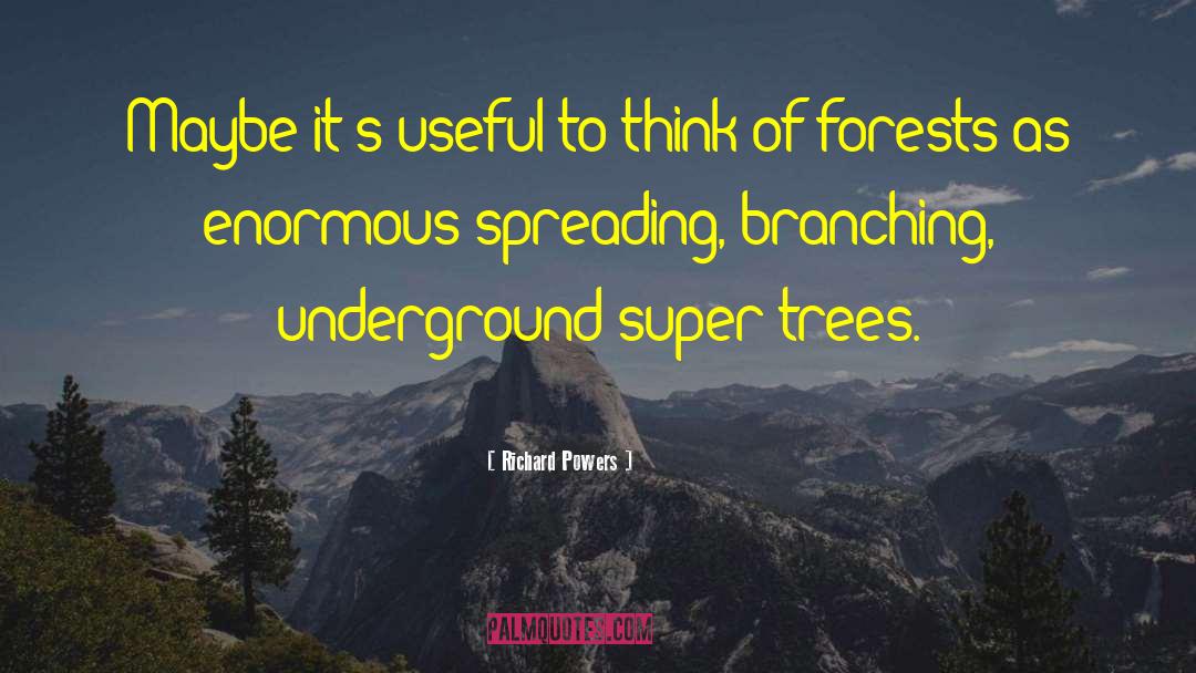 Urtz Trees quotes by Richard Powers