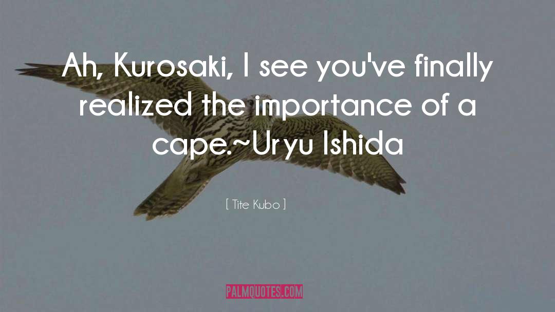 Uryu quotes by Tite Kubo