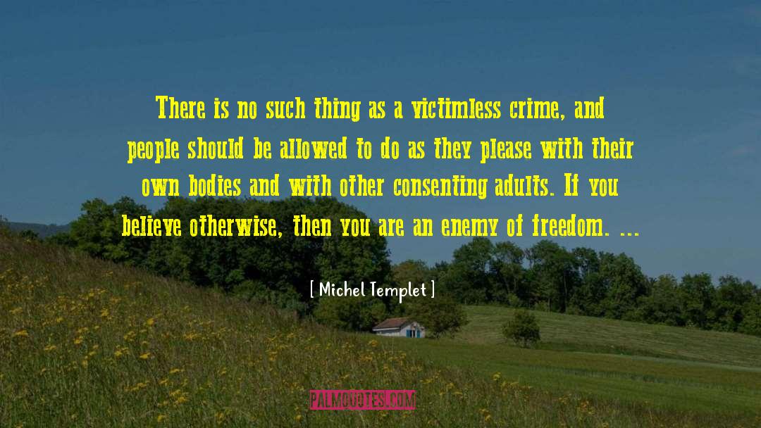 Us Politics quotes by Michel Templet