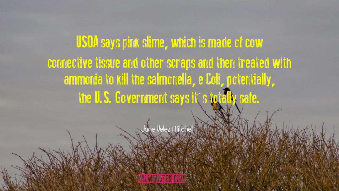 Usda quotes by Jane Velez-Mitchell