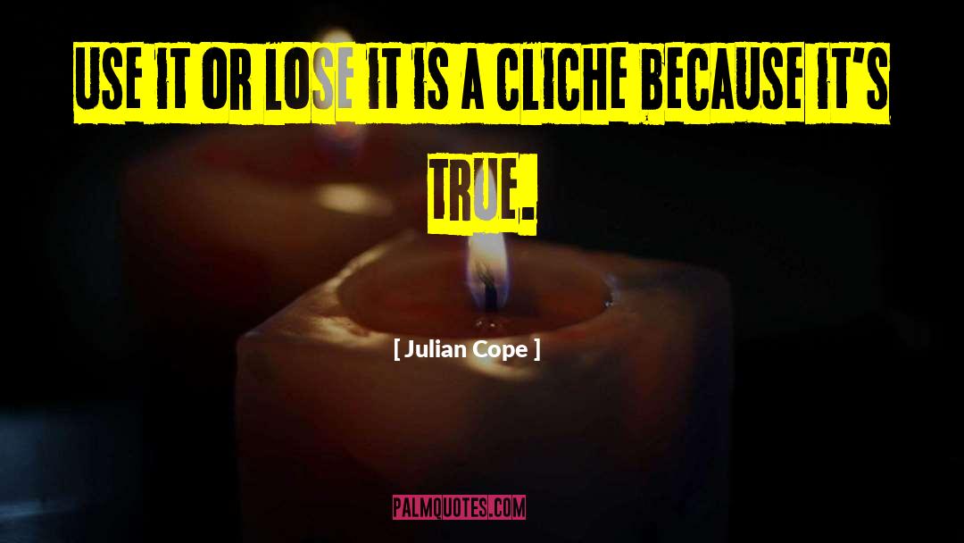 Use It Or Lose It quotes by Julian Cope