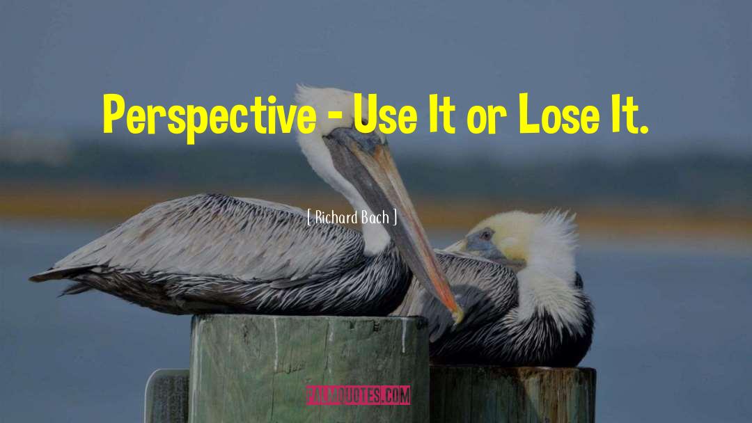 Use It Or Lose It quotes by Richard Bach