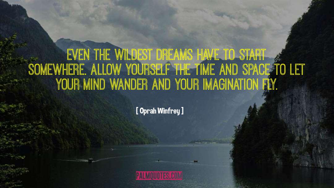 Use Your Imagination To Fly quotes by Oprah Winfrey