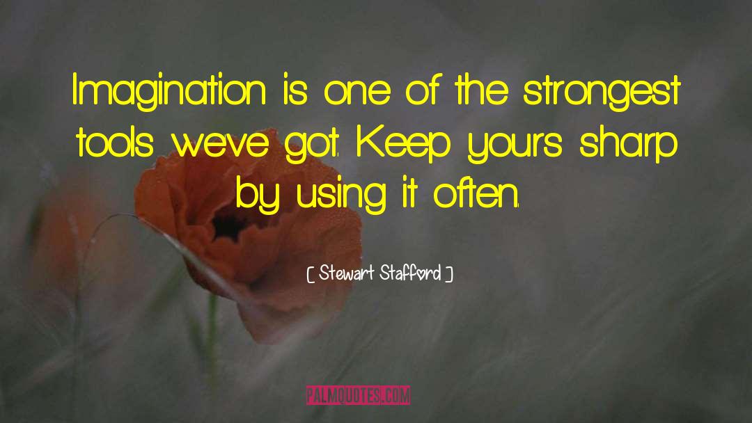 Use Your Imagination To Fly quotes by Stewart Stafford