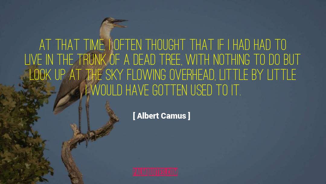 Used To It quotes by Albert Camus