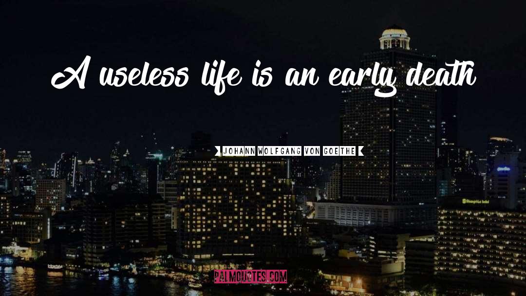 Useless Life quotes by Johann Wolfgang Von Goethe