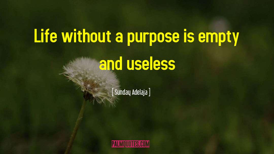 Useless Life quotes by Sunday Adelaja