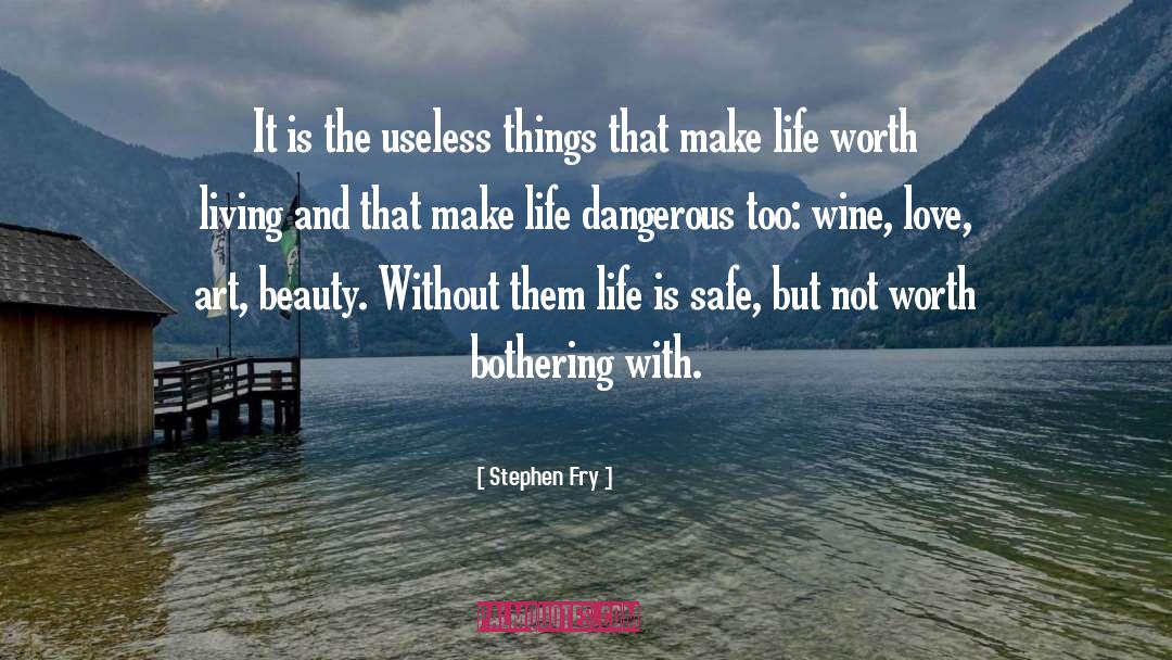 Useless Things quotes by Stephen Fry