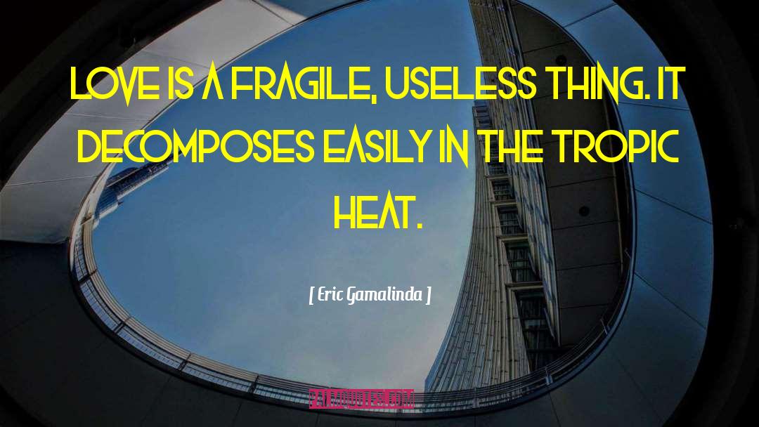 Useless Things quotes by Eric Gamalinda