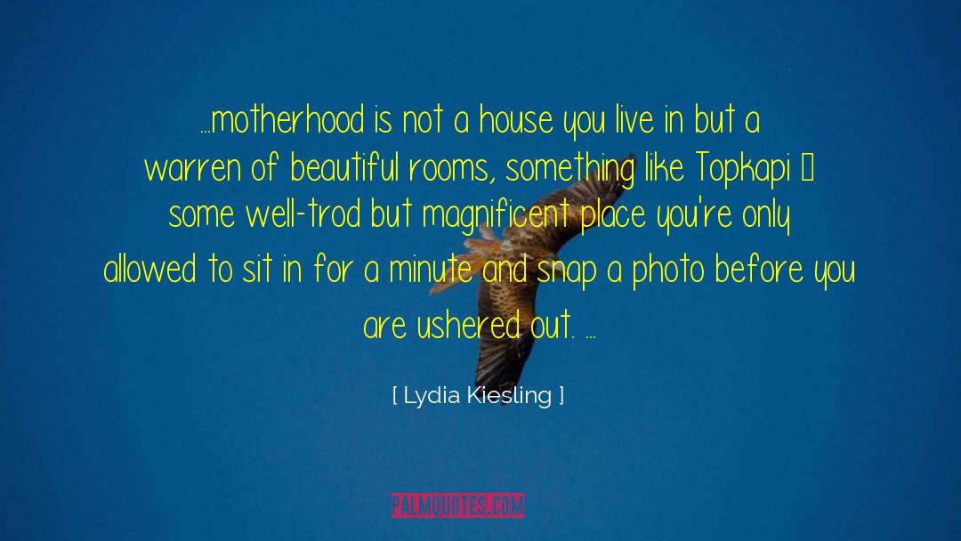 Ushered quotes by Lydia Kiesling