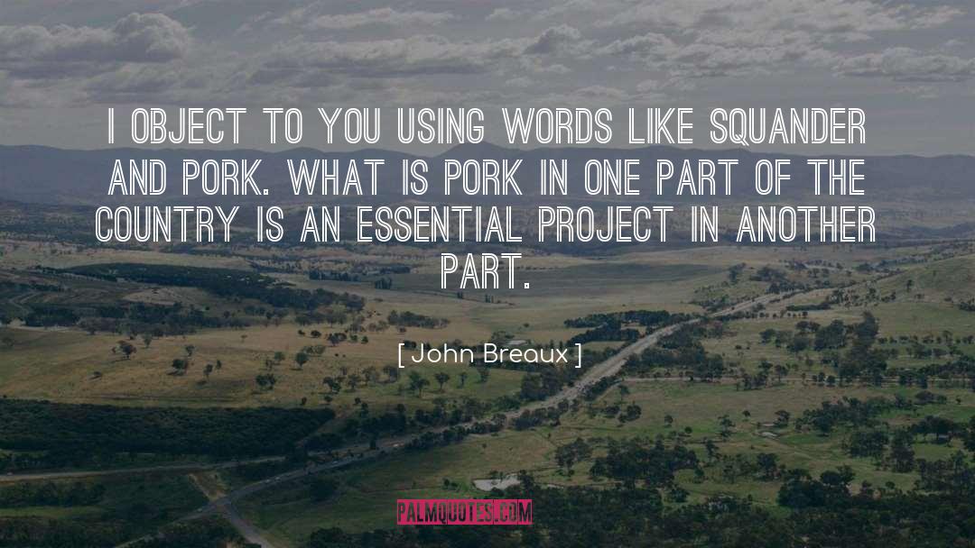 Using Words quotes by John Breaux