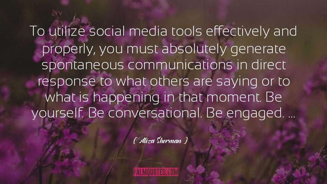 Utilize quotes by Aliza Sherman