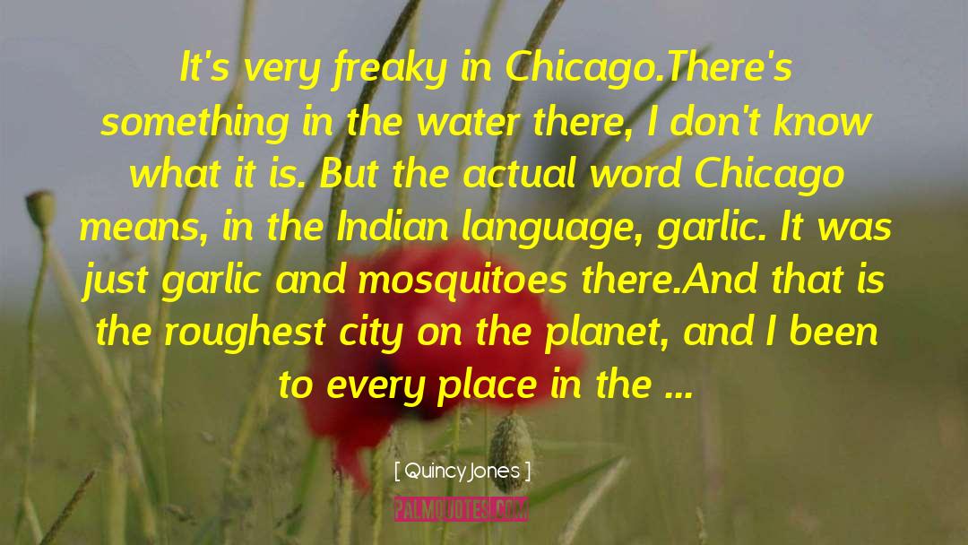 Utopic Chicago quotes by Quincy Jones