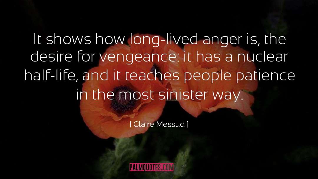 V Is For Vengeance quotes by Claire Messud