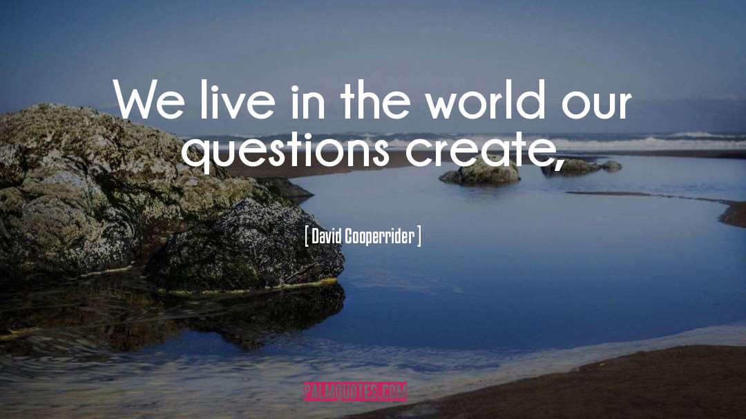 Va Questions quotes by David Cooperrider