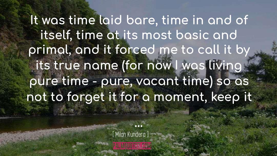 Vacant quotes by Milan Kundera