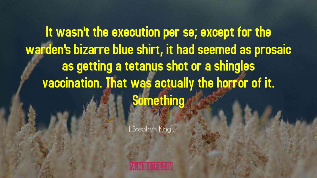 Vaccination quotes by Stephen King